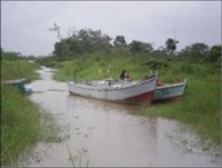 Impression of waterway in Commewijne, Suriname
