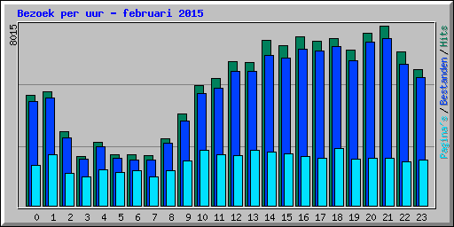 Bezoek per uur - februari 2015
