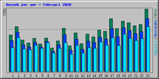 Bezoek per uur - februari 2020